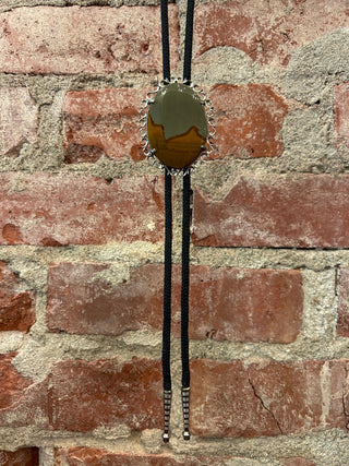 Hand Painted Western Canyons Bolo Tie