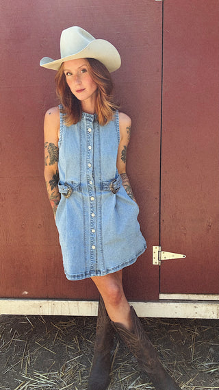 Silver Springs Denim Button Up Dress