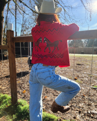 Show Pony Cardigan