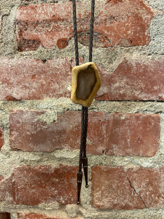 Curated Wood Resin Bolo Tie